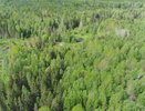 Лесной пожар в Мантуровском округе локализован