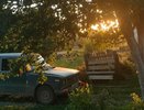 В СТО рассекретили лучший способ уберечь лобовое стекло от вылетающих из-под колес камней: запомните раз и навсегда