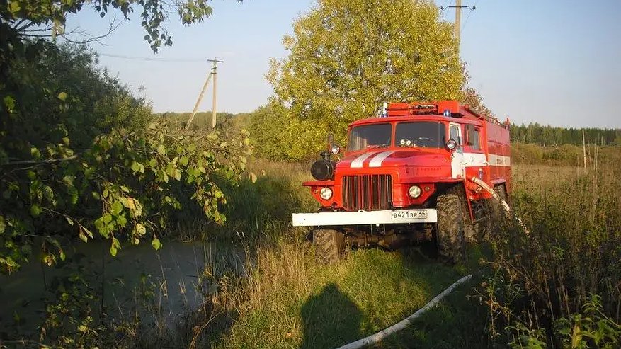 Главная картинка новости: В Мантуровском округе тушат лесной пожар на площади 1,7 гектара