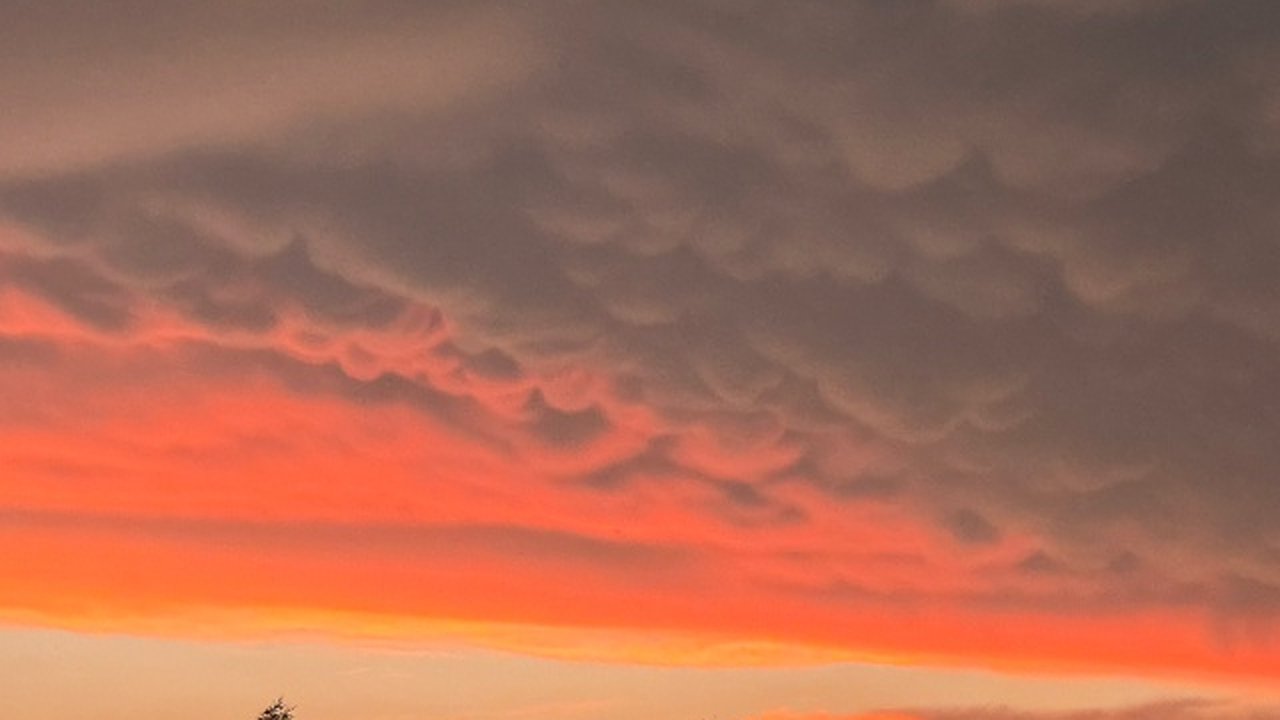 Главная картинка новости: Лето закончится раньше срока: синоптики обнародовали прогноз на август - перспективы пугающие