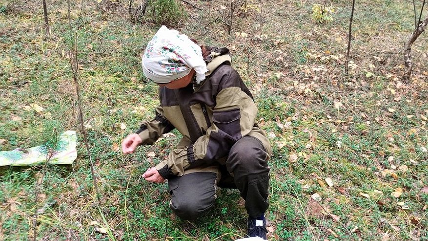Главная картинка новости: В Костромской области из леса вывели двух женщин, которые едва не зашли в болото