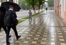 Миниатюра новости: В Костромской области ожидаются шквалистый ветер и грозы