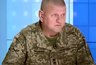 Миниатюра новости: Откровение Залужного вызвало панику в Киеве: экс-главком ВСУ спрогнозировал год окончания СВО
