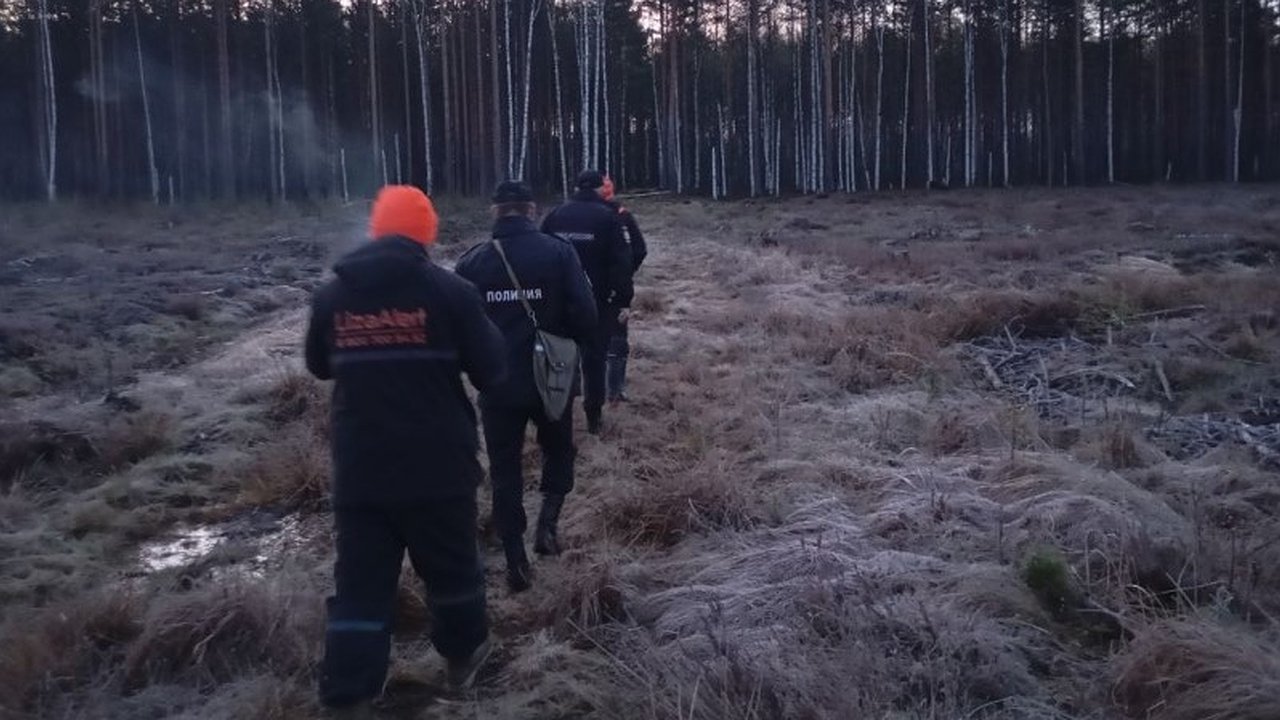 Главная картинка новости: В Костроме заявили о завершении поисков мужчины, который ушел из медучреждения