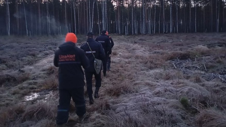 Главная картинка новости: В Костроме заявили о завершении поисков мужчины, который ушел из медучреждения