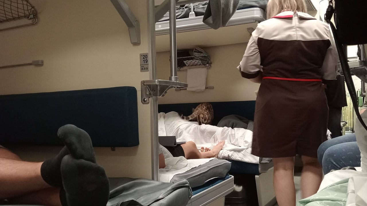 Главная картинка новости: Ехала в поезде со сломанной рукой - дама с верхней полки просила уступить нижнее место, чтобы флиртовать с попутчиком