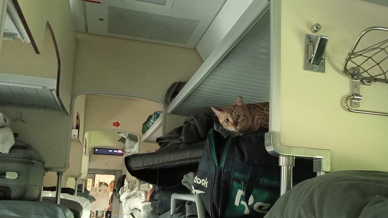 Главная картинка новости: Немец застыл у вагона: "Неужели теперь все русские на этом ездят". Чем удивил гостя фирменный поезд