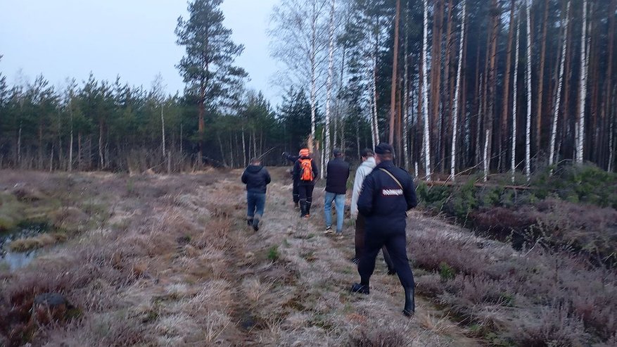 Главная картинка новости: 75-летний Сергей Каликин пропал в лесу под Нерехтой