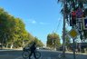 Миниатюра новости: В ГАИ расставили все точки над i: что делать, если вы уже пересекли стоп-линию и загорелся красный сигнал светофора