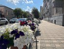 Стало известно, какая погода ждет костромичей в августе
