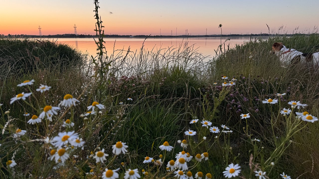 Главная картинка новости: Лето закончится раньше срока: синоптики дали новый прогноз на август - перспективы пугающие
