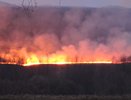В Костромской области почти сутки тушили лесной пожар