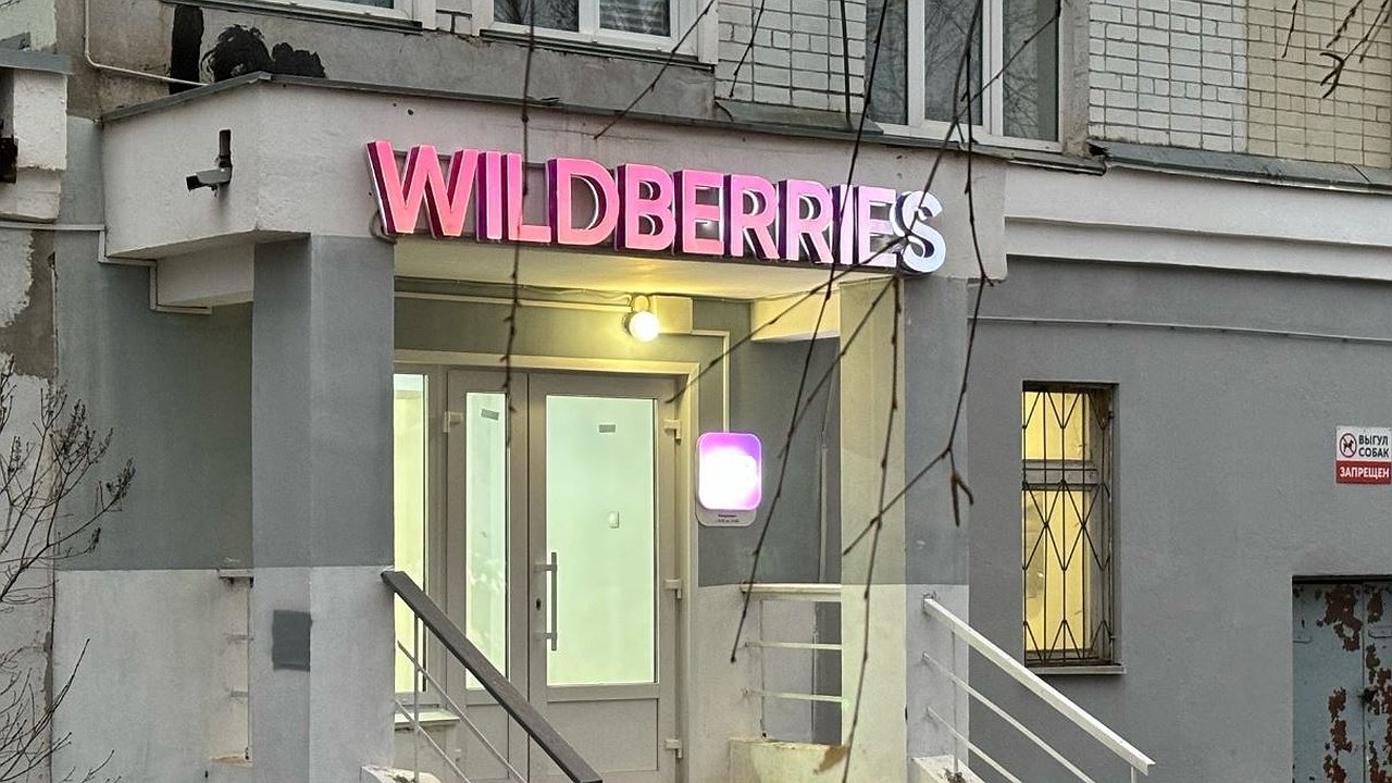 Главная картинка новости: Не покупайте это на Wildberries — полное разочарование: топ худших товаров