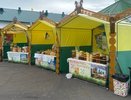 В Костроме открылась ярмарка «Медовый Спас» (0+)