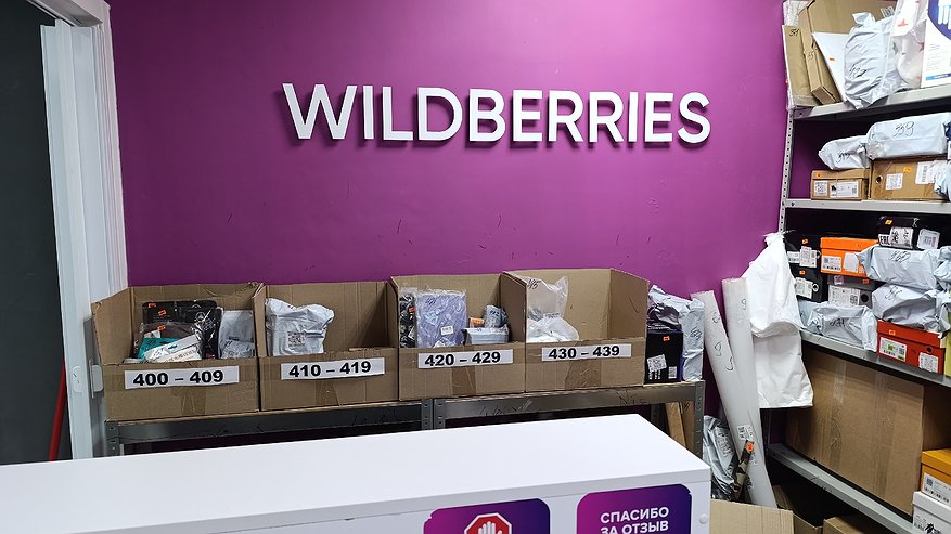 Главная картинка новости: Эти товары из Wildberries разочаровали — больше покупать их не буду: рассказываю почему