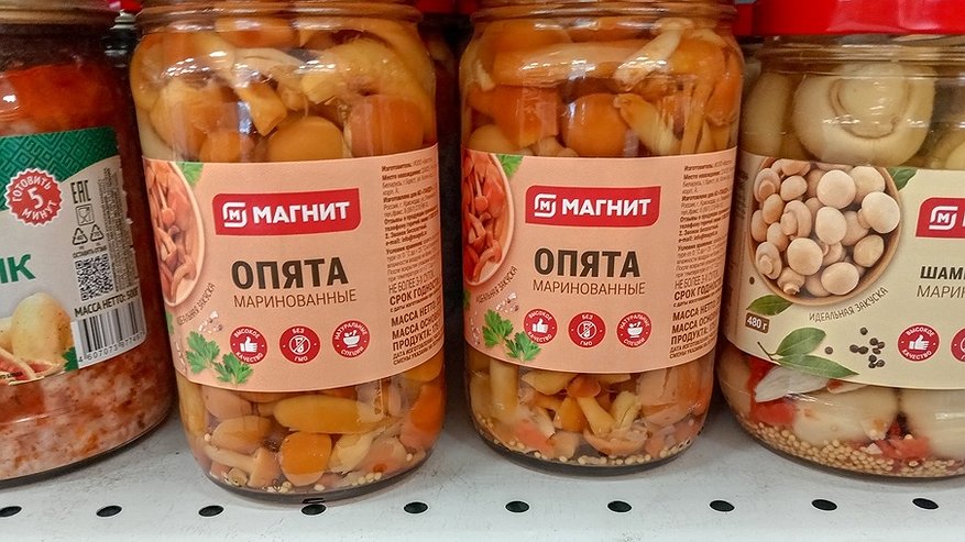 Главная картинка новости: Купил за 149,99 руб в "Магните" белорусских опят - попробовал и понял, какую ошибку допустил