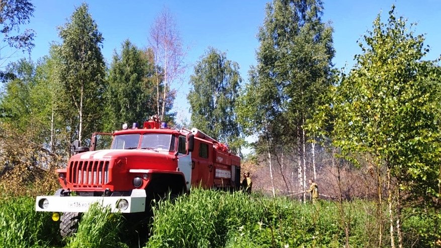 Главная картинка новости: Лесной пожар в Чухломском районе локализован на площади 2,1 га