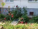 В Костромской области три малыша выпали из окон за неделю
