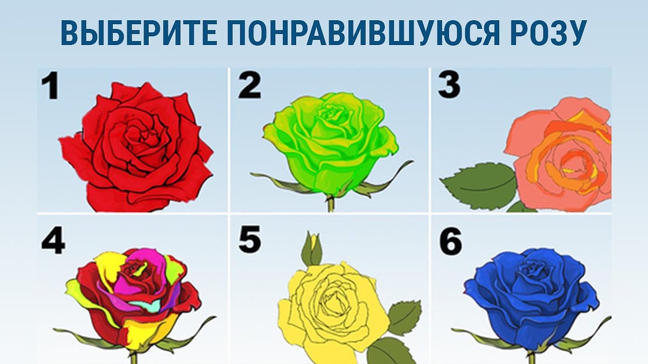 Главная картинка новости: Выберите розу — и поймете, где вас поджидает удача: теперь вы точно станете успешным — точность 95%