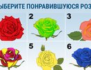 Выберите розу — и поймете, где вас поджидает удача: теперь вы точно станете успешным — точность 95%