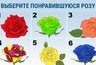 Миниатюра новости: Выберите розу — и поймете, где вас поджидает удача: теперь вы точно станете успешным — точность 95%