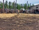 Судебные приставы пресекли незаконное производство угля в Костромской области