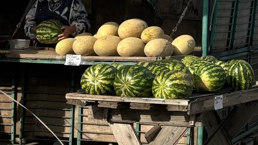 Главная картинка новости: В Костромскую область завезли партию дынь с нарушениями