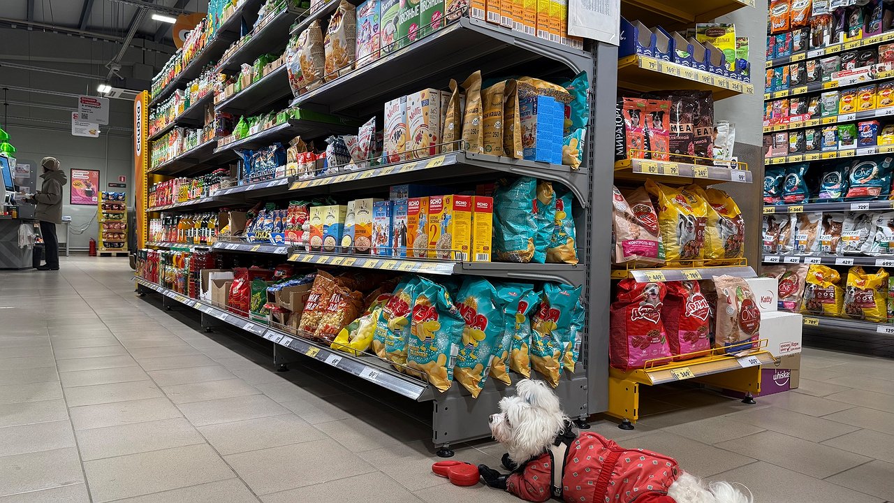 Главная картинка новости: Друг-продавец раскрыл 4 "фишки": вот как правильно совершать покупки в "Магните" и "Пятерочке" — платим в 2 раза меньше