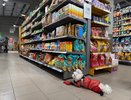 Друг-продавец раскрыл 4 "фишки": вот как правильно совершать покупки в "Магните" и "Пятерочке" — платим в 2 раза меньше