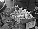 Загадка американских кур: почему мы видели только их окорочка, а остальную часть в РФ не везли