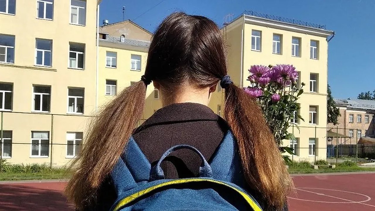 Главная картинка новости: В Костромской области не планируют вводить единую школьную форму