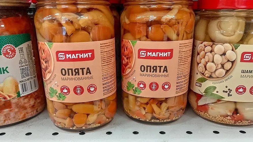 Главная картинка новости: Купил за 149,99 руб в "Магните" белорусских опят - попробовал и понял, какую ошибку допустил