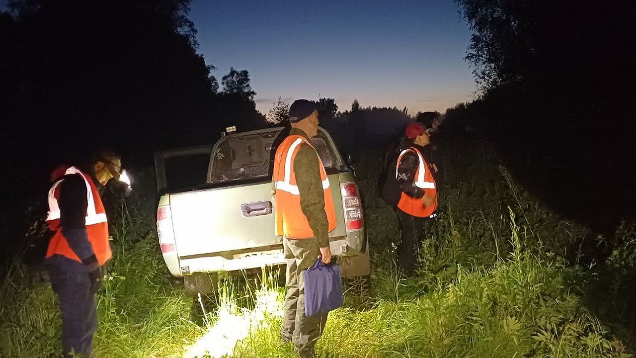Главная картинка новости: В лесах Костромской области второй день ищут пропавшую пару