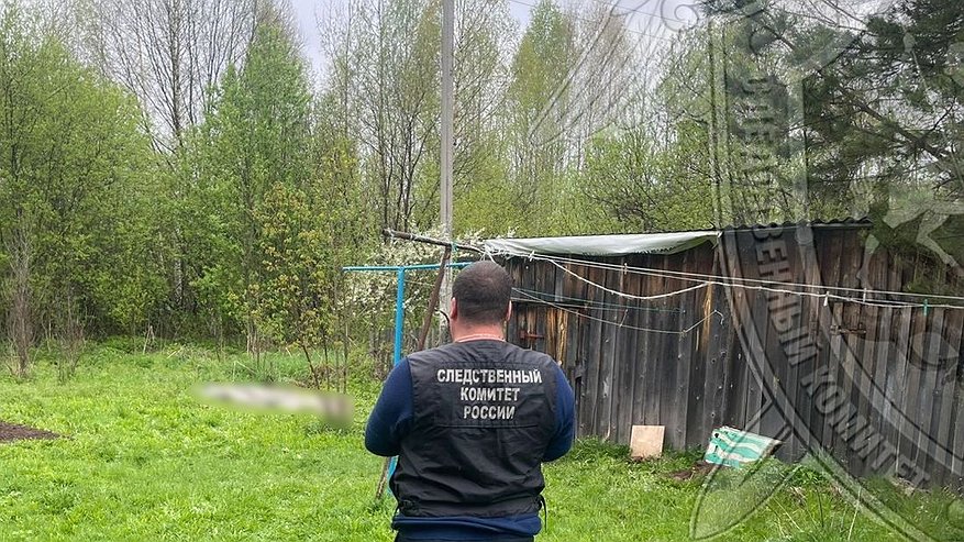 Главная картинка новости: Психически больной житель Костромской области убил знакомую