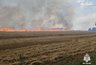 Миниатюра новости: В Костромской области сгорели три гектара ячменя