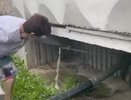 Некачественная вода и перерасчет: прокуратура выявила нарушения в Красном-на-Волге