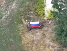 "Армия Украины исчезает": на Западе осознали масштаб катастрофы ВСУ на Донбассе