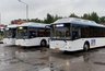 Миниатюра новости: В Костромской области автобусы №120 и 126 будут заезжать в деревню Ченцы