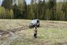 Миниатюра новости: В Костромской области открылся сезон охоты на пернатых