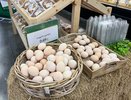 Зашел в супермаркет в Грузии — сравнил цены с нашими: сколько стоит мясо, овощи и другие продукты
