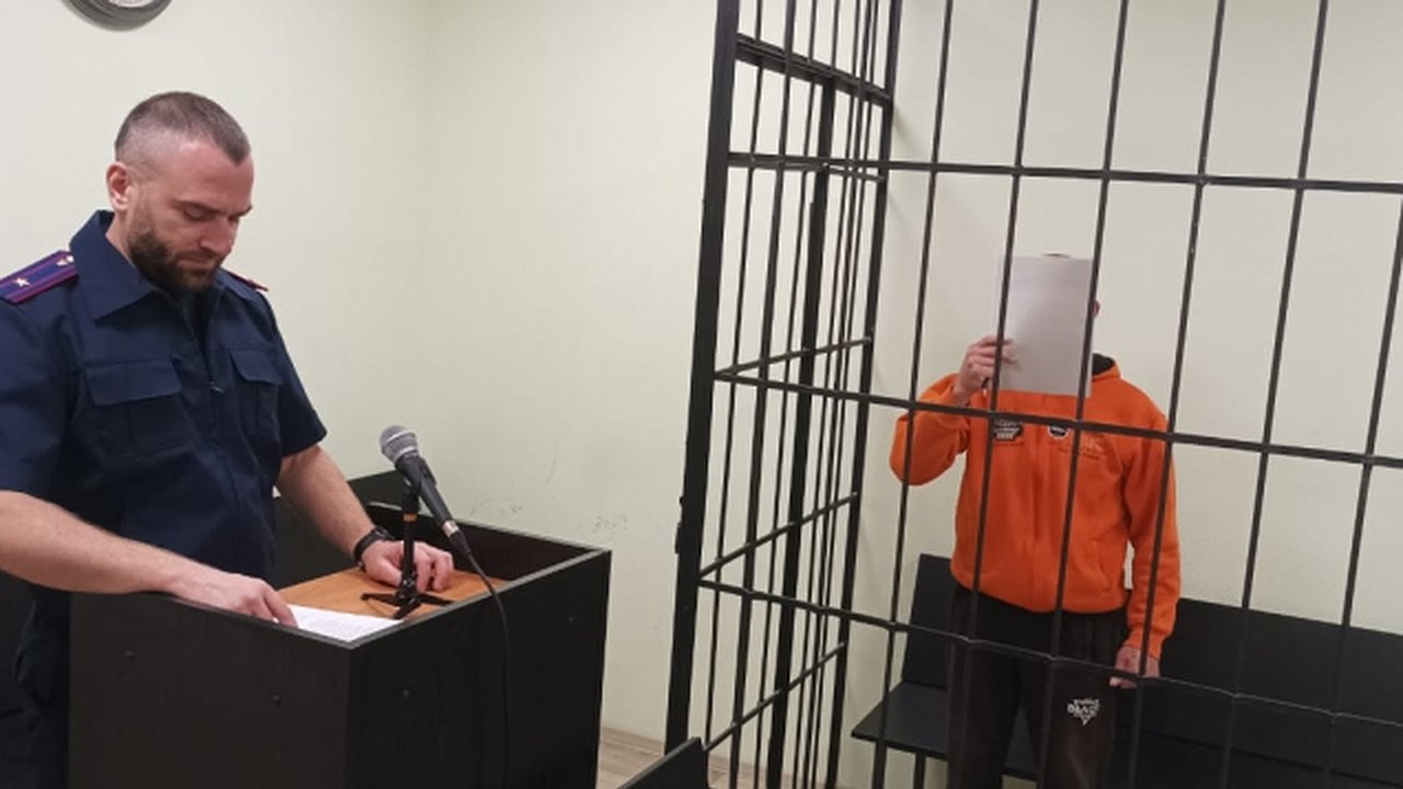 Главная картинка новости: 17-летний курьер из Москвы похитил почти 1 млн рублей у костромской пенсионерки