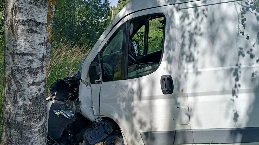 Главная картинка новости: В Костромской области водитель на Peugeot пострадал после столкновения с деревом