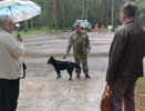 В костромском парке «Берендеевка» прошел рейд по контролю за выгулом собак