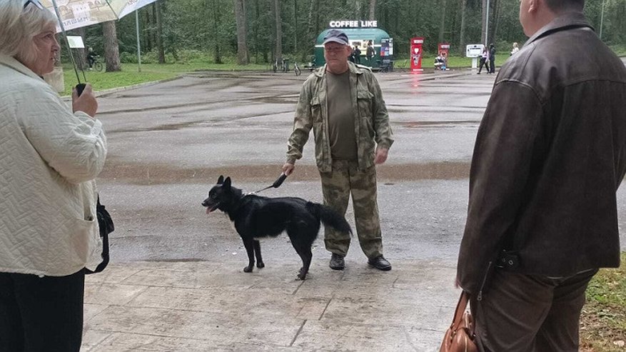 Главная картинка новости: В костромском парке «Берендеевка» прошел рейд по контролю за выгулом собак