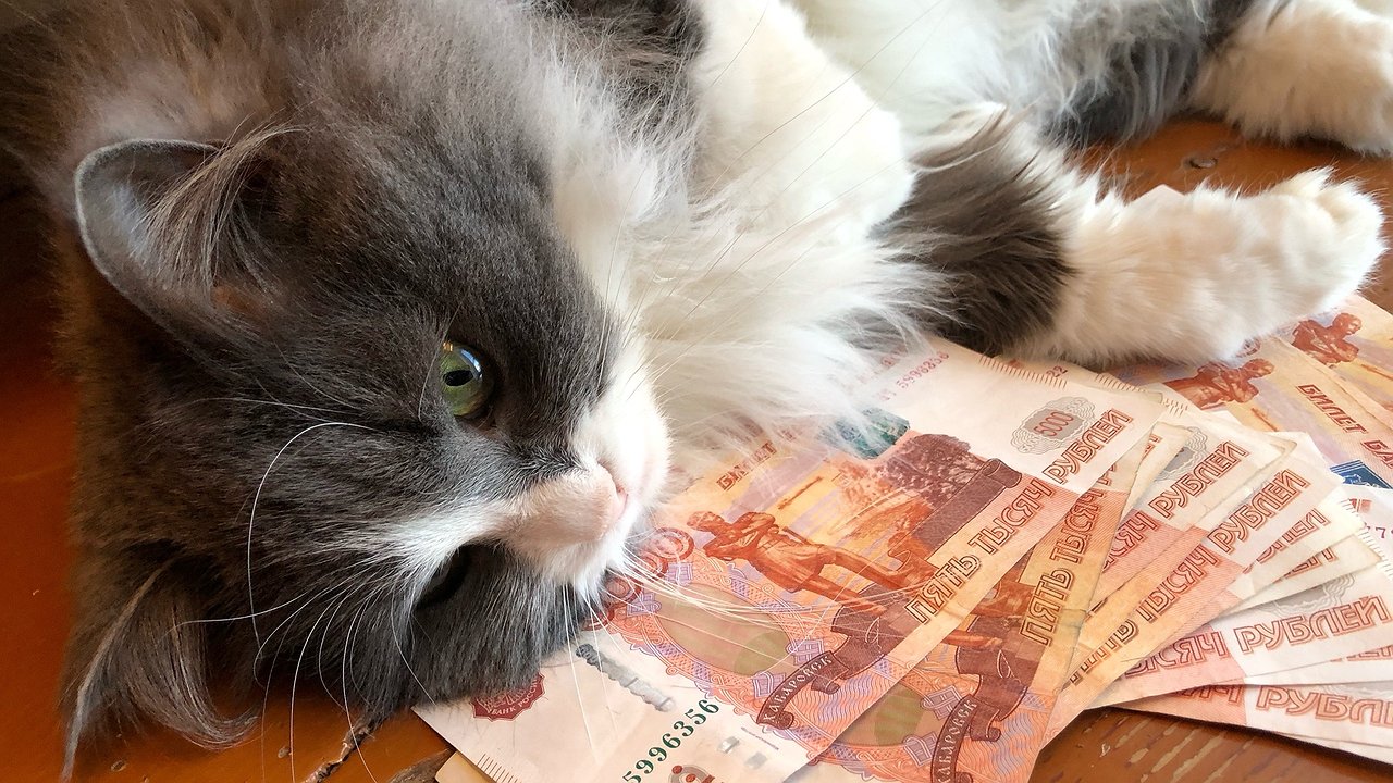 Главная картинка новости: Выиграл в лотерею 14 раз — разработал собственный метод: как живет экономист-счастливчик из Румынии