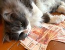 Выиграл в лотерею 14 раз — разработал собственный метод: как живет экономист-счастливчик из Румынии
