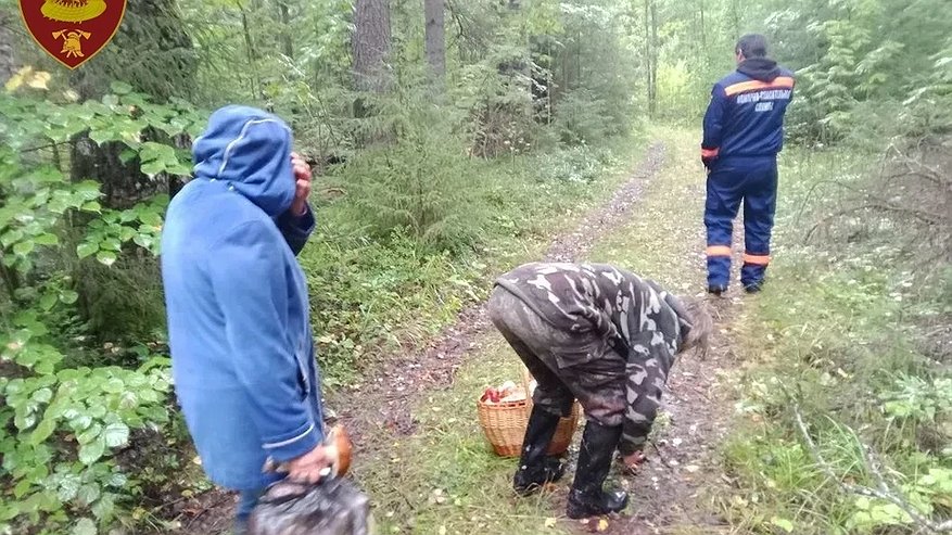 Главная картинка новости: В Костромской области спасатели вывели из леса двух женщин