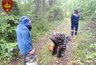 Миниатюра новости: В Костромской области спасатели вывели из леса двух женщин
