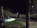 В Костромской области почти неделю ищут 87-летнего мужчину, который ушел в лес