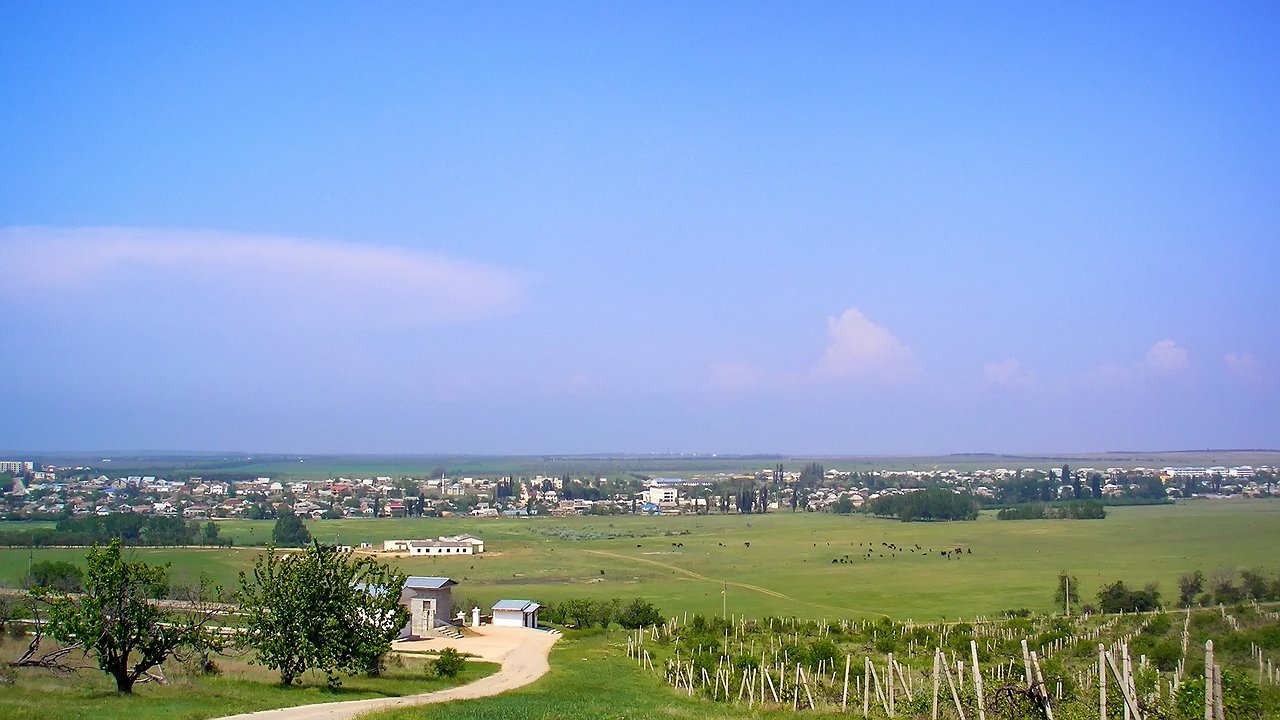 Главная картинка новости: Что есть в Беларуси, но для России — редкость: 12 отличий